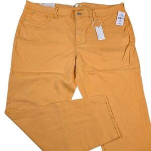 NWT Warp + Weft JFK NYC Skinny Jeans